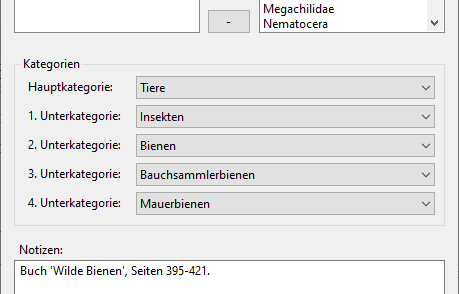 BILDARCH 5: Stichwort zu Stichwort-Kategorien zuordnen.