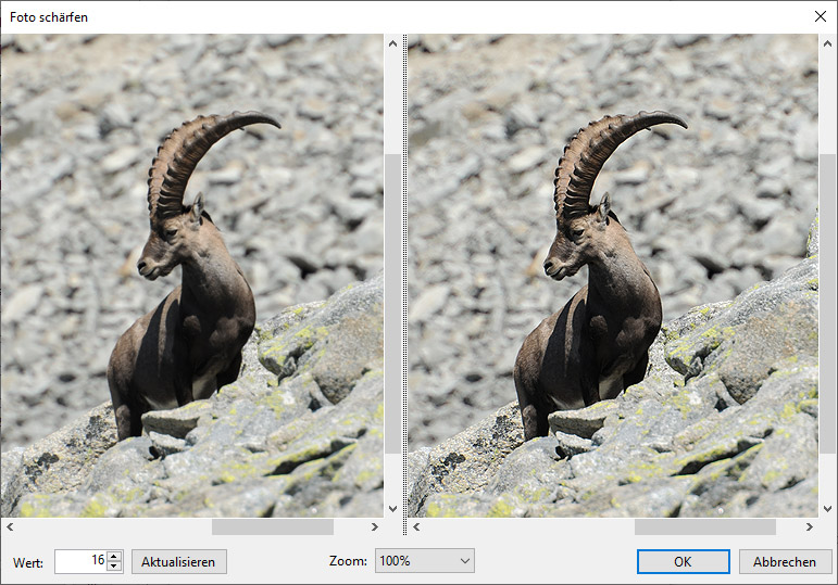 BILDARCH 5: Schärfen von Fotos.